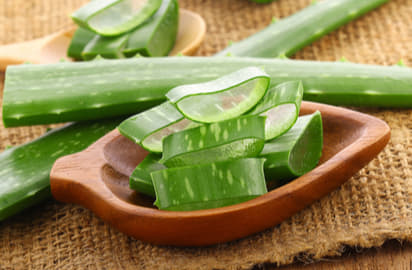Aloe vera