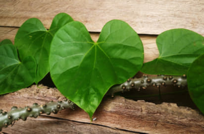 Neem